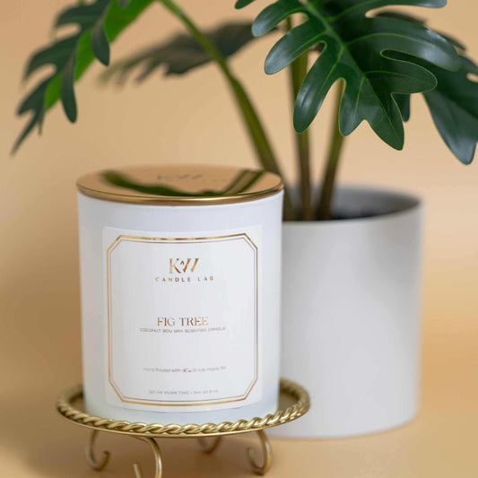 fig tree candle plant in background